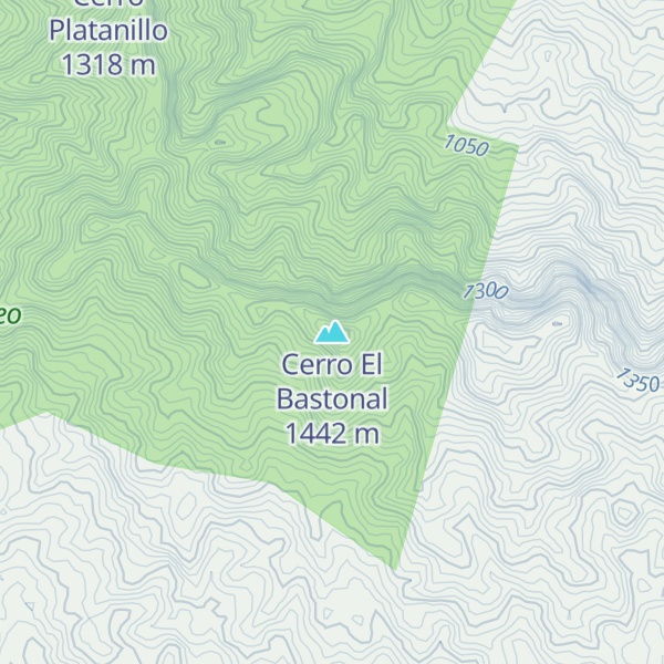 Map of Cerro El Bastonal