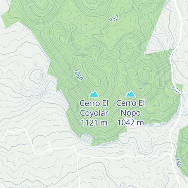 Map of Cerro El Coyolar