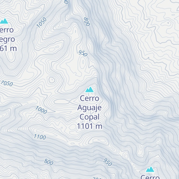 Map of Cerro Aguaje Copal