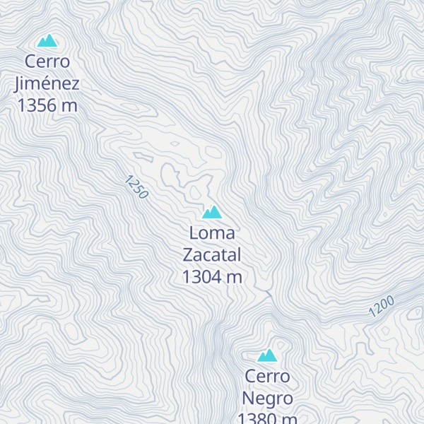 Map of Loma Zacatal