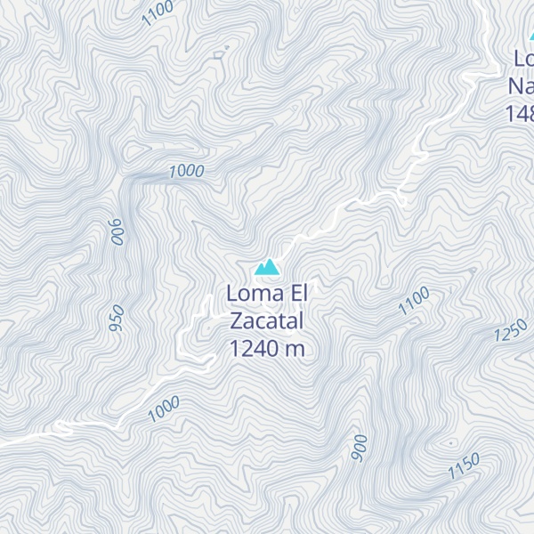 Map of Loma El Zacatal