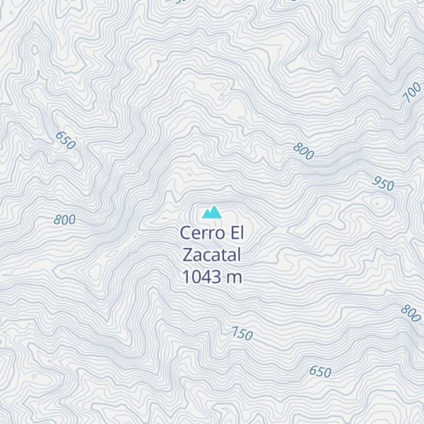 Map of Cerro El Zacatal