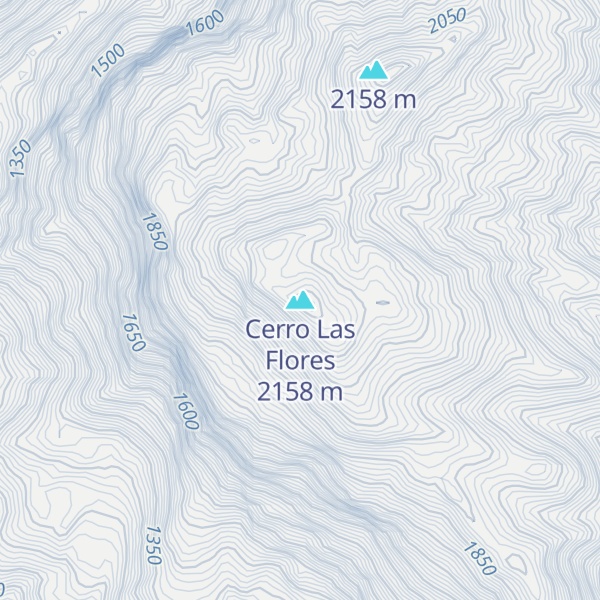 Map of Cerro Las Flores
