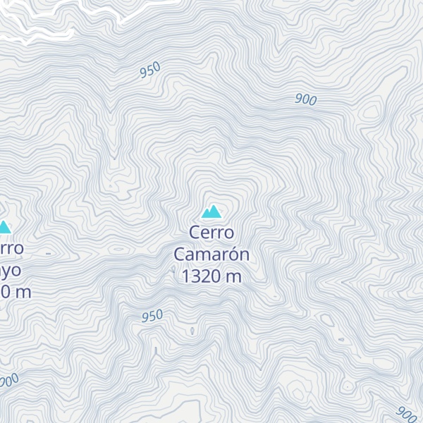 Map of Cerro Camarón