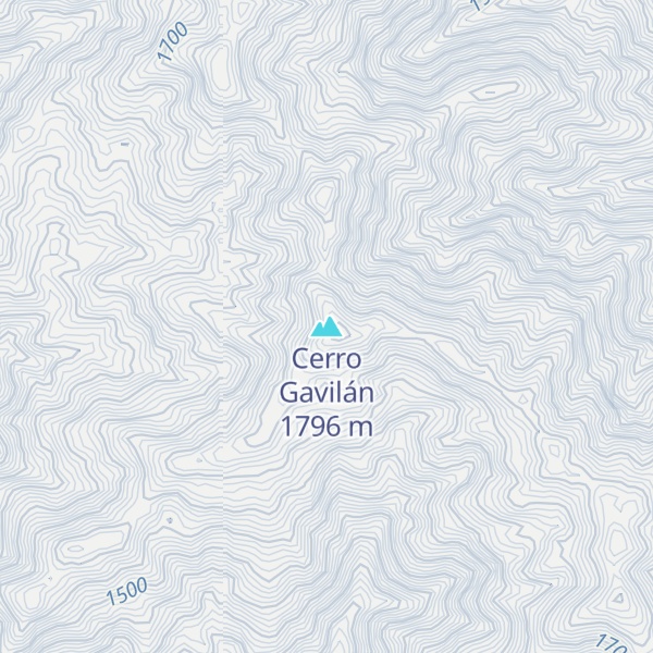 Map of Cerro Gavilán