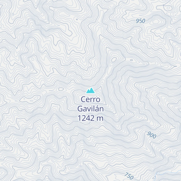 Map of Cerro Gavilán