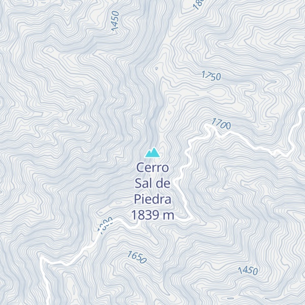 Map of Cerro Sal de Piedra