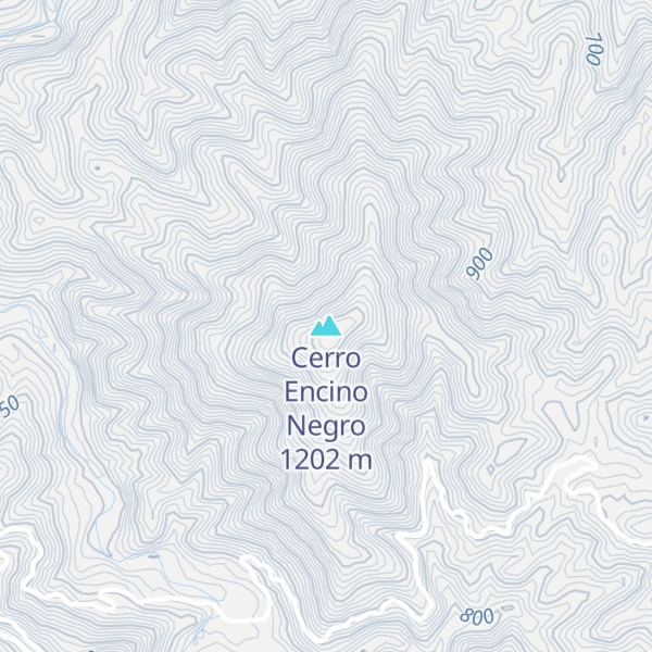 Map of Cerro Encino Negro