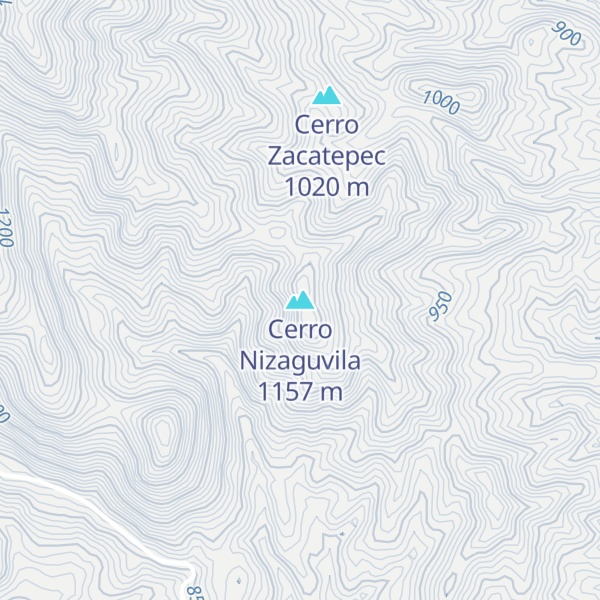 Map of Cerro Nizaguvila