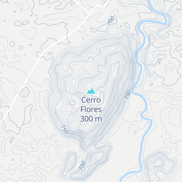 Map of Cerro Flores