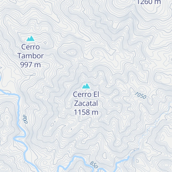 Map of Cerro El Zacatal