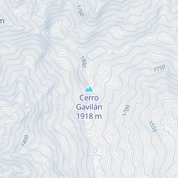 Map of Cerro Gavilán