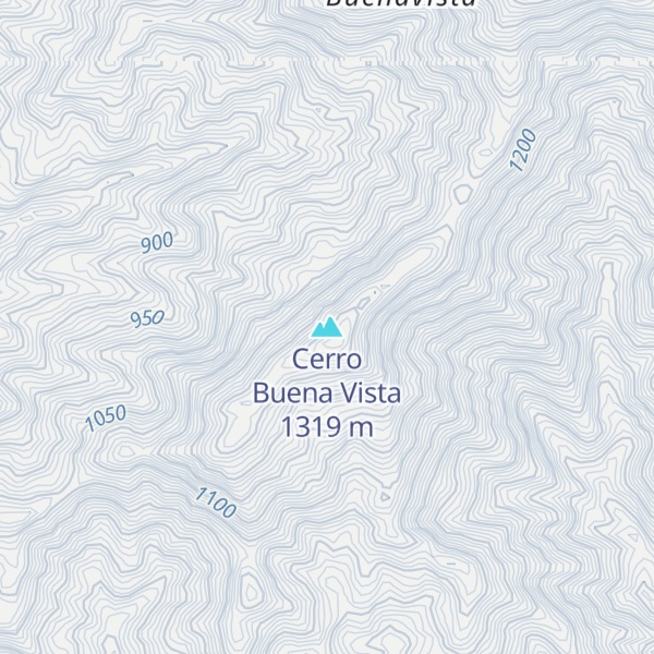 Map of Cerro Buena Vista
