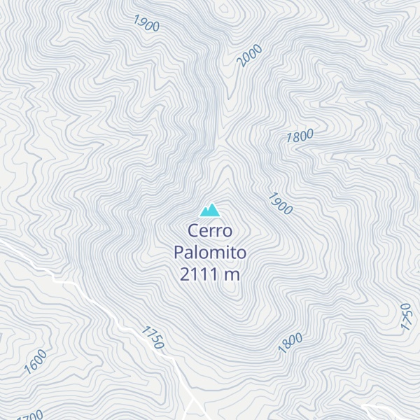 Map of Cerro Palomito