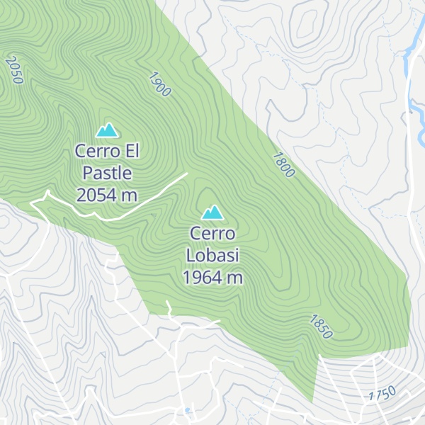 Map of Cerro Lobasi