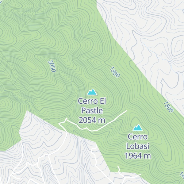 Map of Cerro El Pastle
