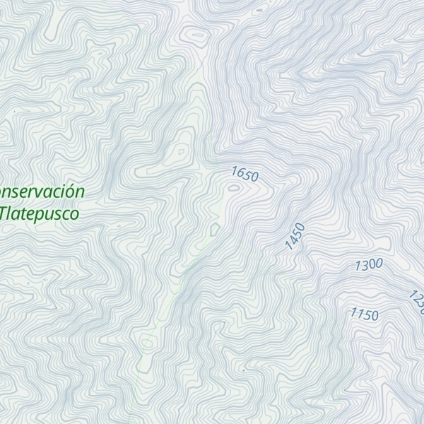 Map of Cueva Negra