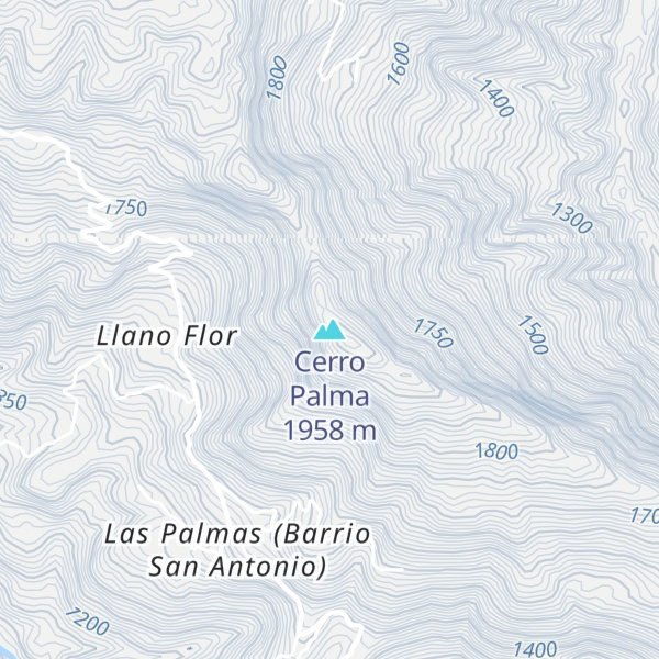 Map of Cerro Palma