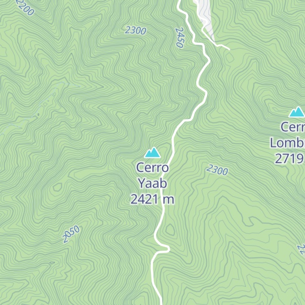 Map of Cerro Yaab