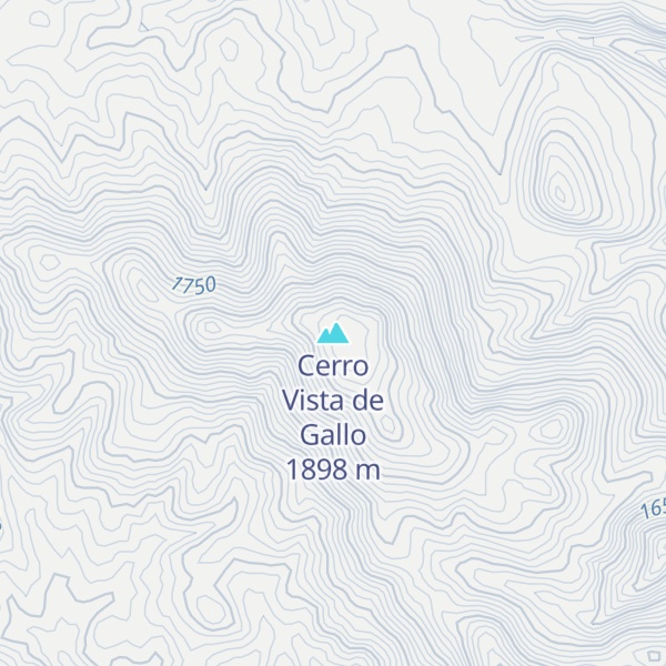 Map of Cerro Vista de Gallo