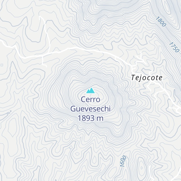 Map of Cerro Guevesechi
