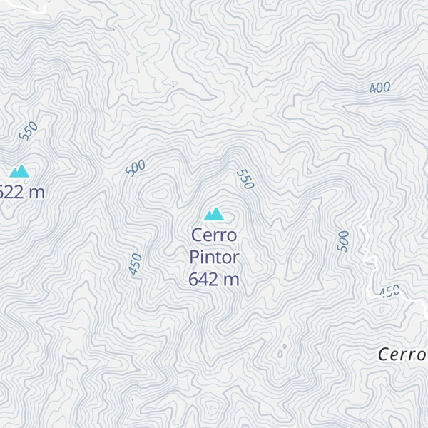 Map of Cerro Pintor