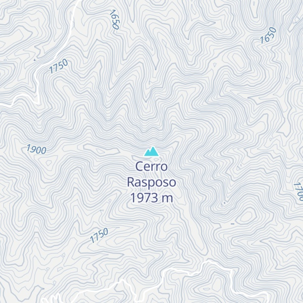 Map of Cerro Rasposo