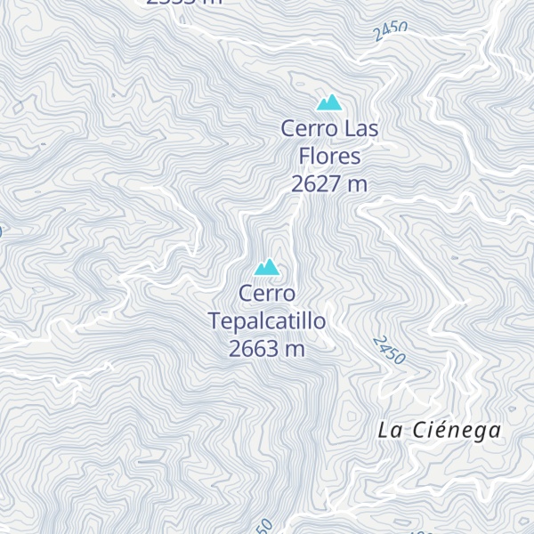 Map of Cerro Tepalcatillo
