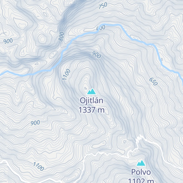 Map of Ojitlán