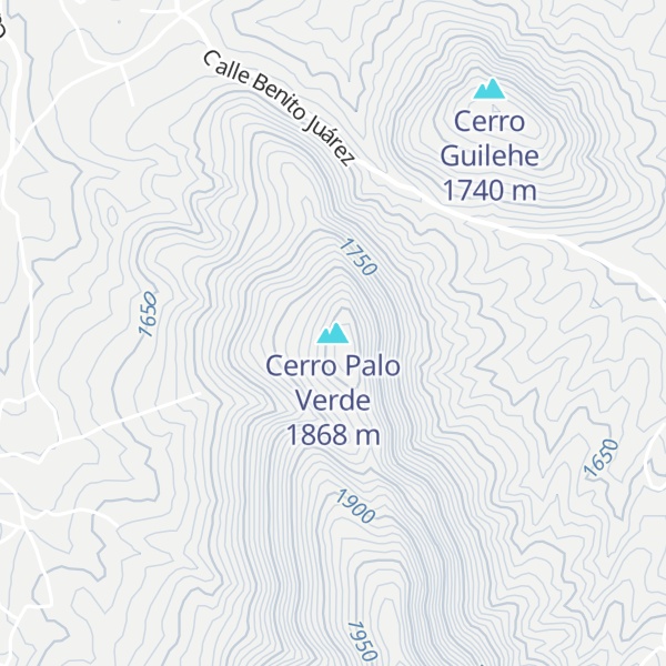 Map of Cerro Palo Verde
