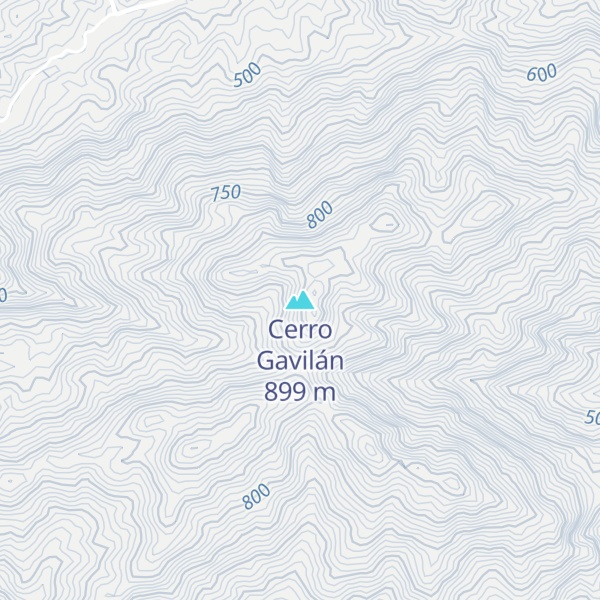 Map of Cerro Gavilán
