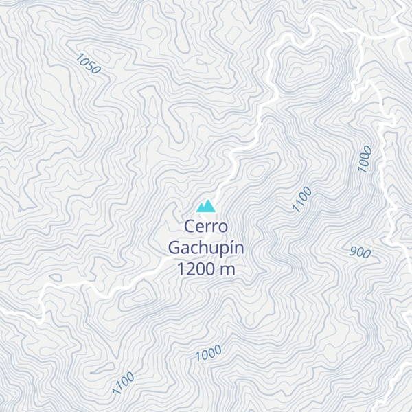 Map of Cerro Gachupín