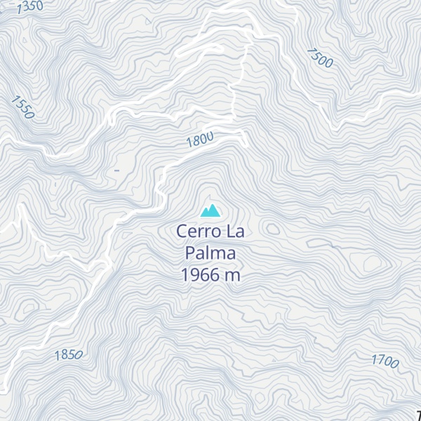 Map of Cerro La Palma