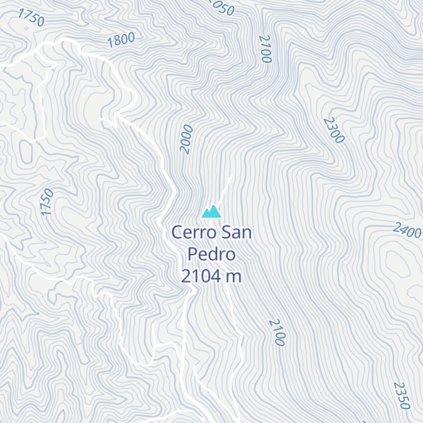 Map of Cerro San Pedro