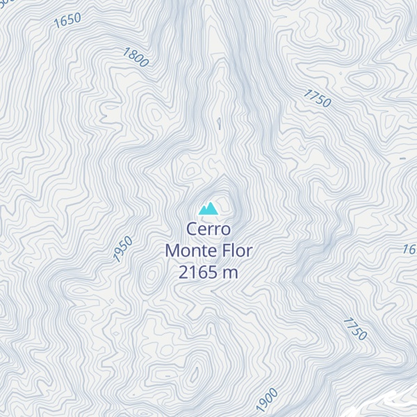 Map of Cerro Monte Flor