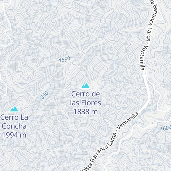 Map of Cerro de las Flores