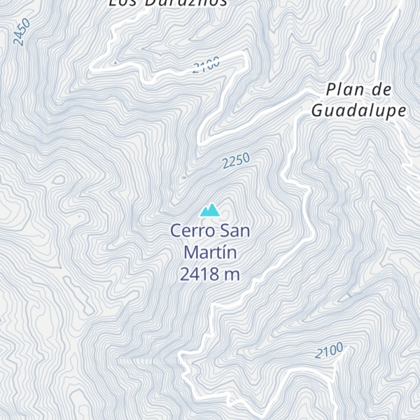 Map of Cerro San Martín