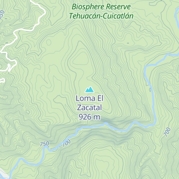 Map of Loma El Zacatal