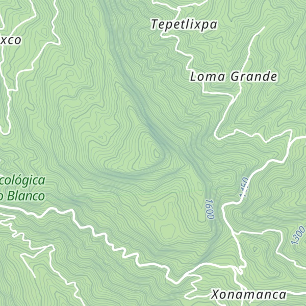 Map of Cerro Tzoncoltze