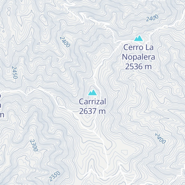 Map of Carrizal