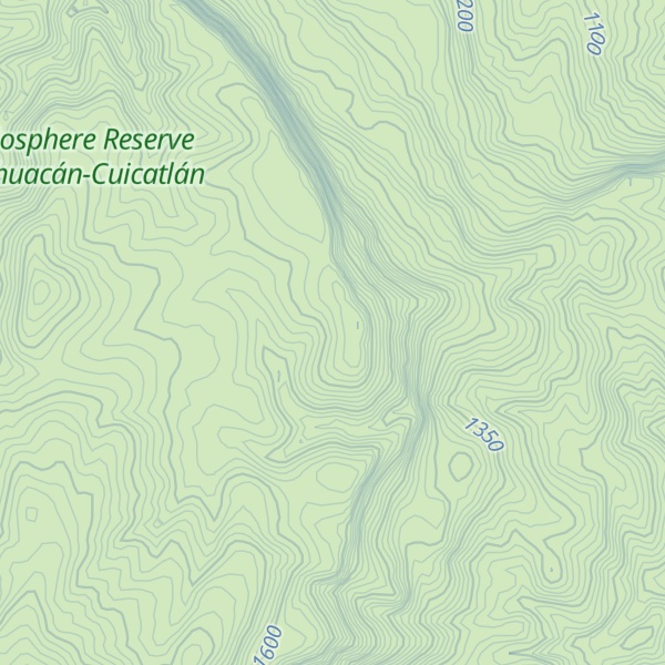 Map of Cerro Zacatal
