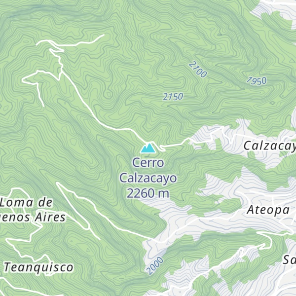 Map of Cerro Calzacayo