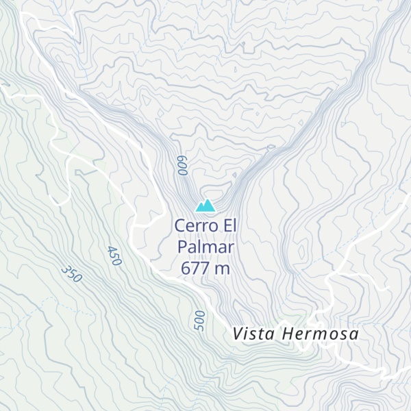 Map of Cerro El Palmar