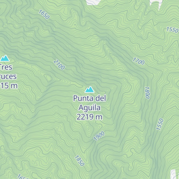 Map of Punta del Aguila