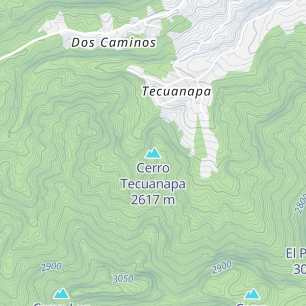 Map of Cerro Tecuanapa