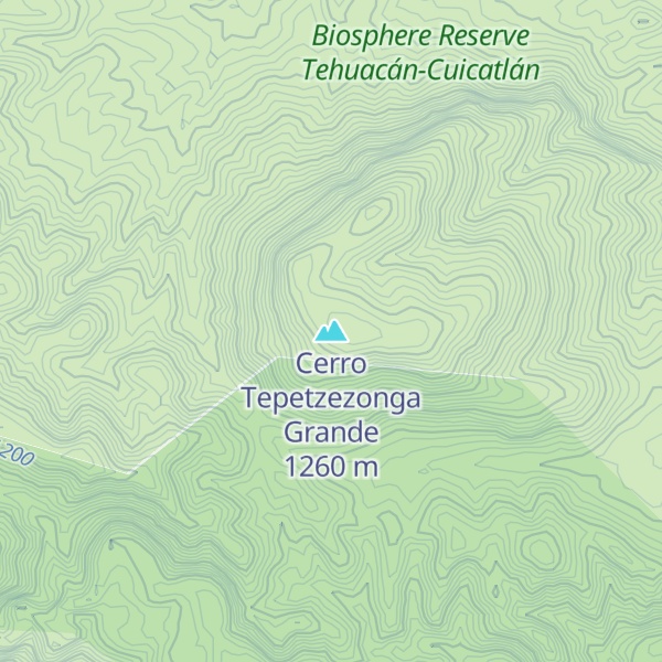 Map of Cerro Tepetzezonga Grande