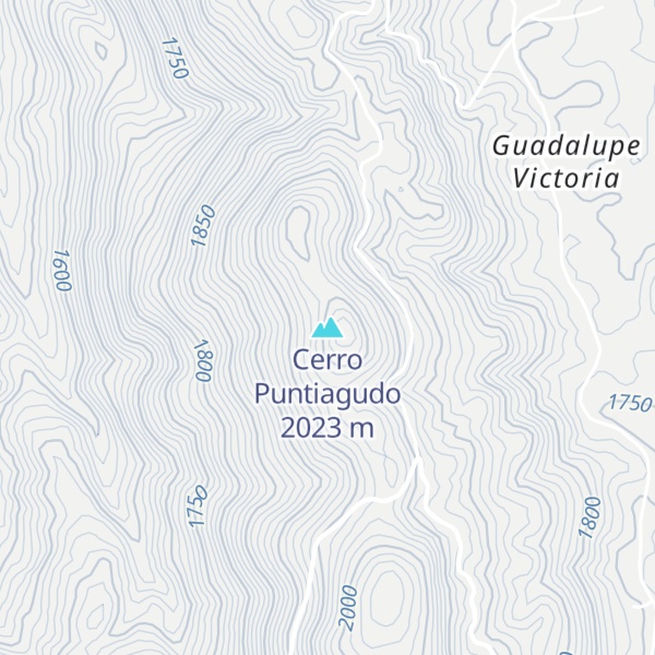 Map of Cerro Puntiagudo