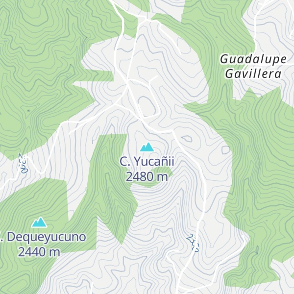 Map of C. Yucañii
