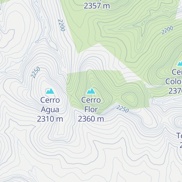 Map of Cerro Flor