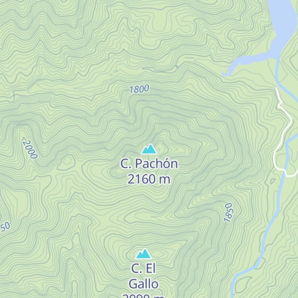 Map of C. Pachón